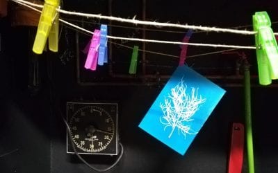 Taller de Cianotípia BLUEPRINTS a càrrec de Kati Riquelme. 14/12/2018