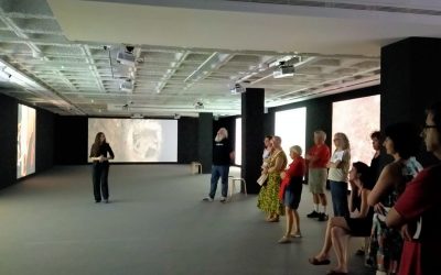 Guided tour of the Bleda y Rosa and Ressonàncies exhibitions at the KBr